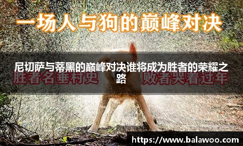 金沙娱场城